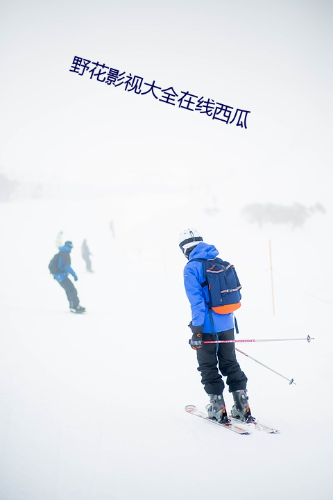 野花影視大全在線西瓜