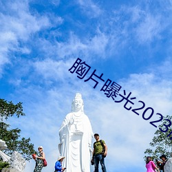 胸片曝光2023版本